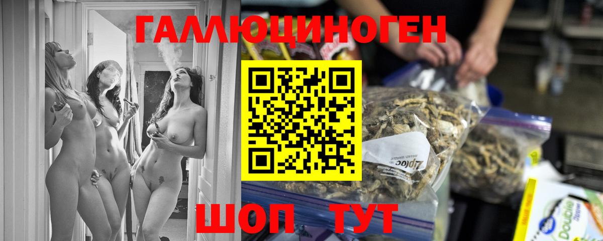 Псилоцибиновые грибы Cubensis  Вход с VPN  Дивногорск 